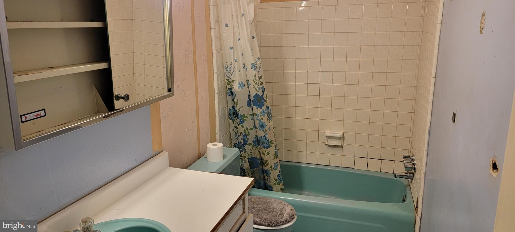 4405 Havelock Road Lanham, MD 20706 - Photo 36 of 36 Family Bath room