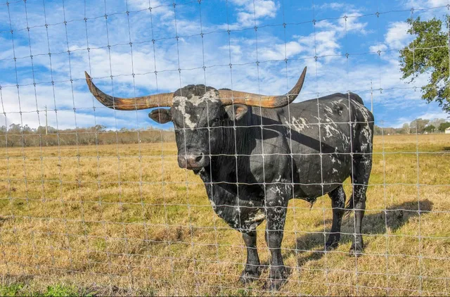 $18,999,999 | 5523 Ehrman Lake Lane, Wallis, TX 77485