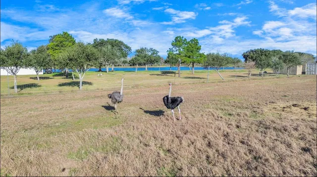 $18,999,999 | 5523 Ehrman Lake Lane, Wallis, TX 77485