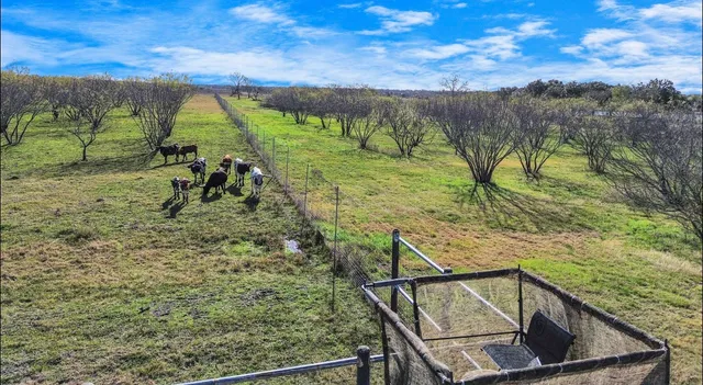 $18,999,999 | 5523 Ehrman Lake Lane, Wallis, TX 77485