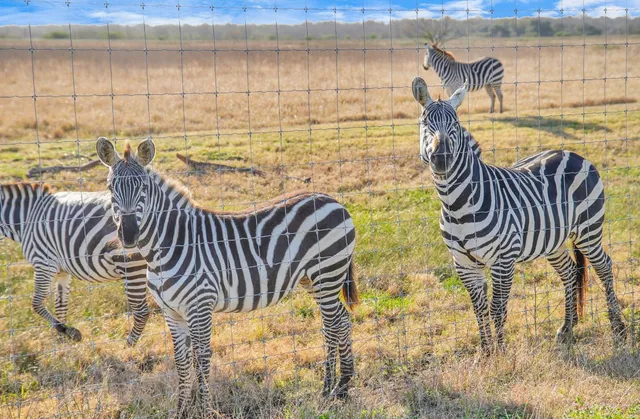 $18,999,999 | 5523 Ehrman Lake Lane, Wallis, TX 77485