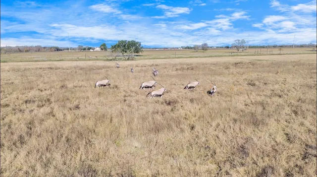 $18,999,999 | 5523 Ehrman Lake Lane, Wallis, TX 77485