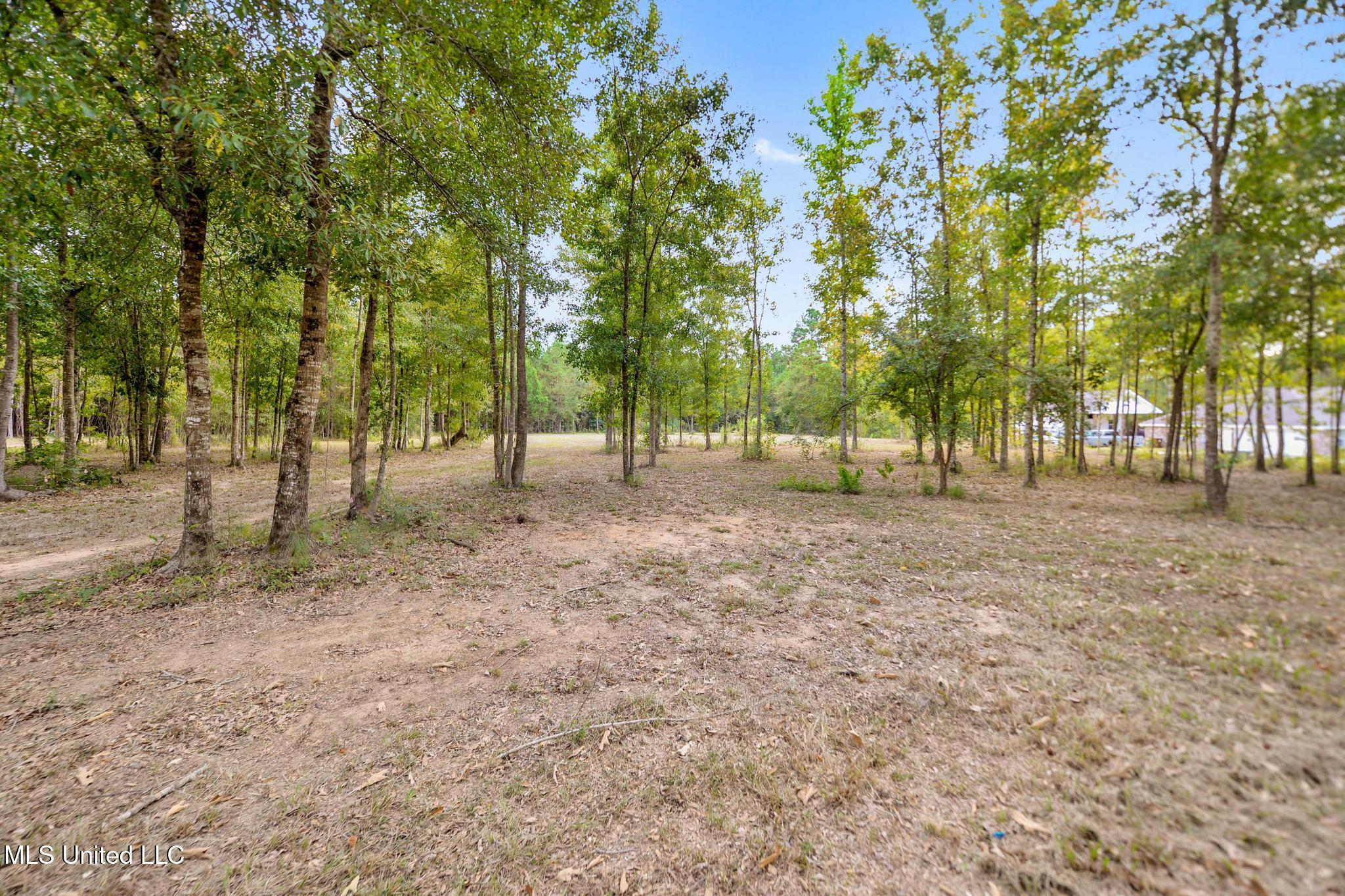 12091 School Road Saucier, MS 39574 - Photo 10 of 18 009