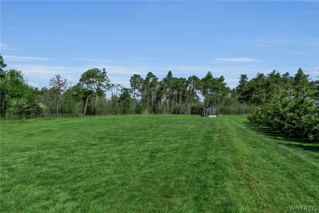 7318 Michael Road Orchard Park, NY 14127 - Photo 29 of 30