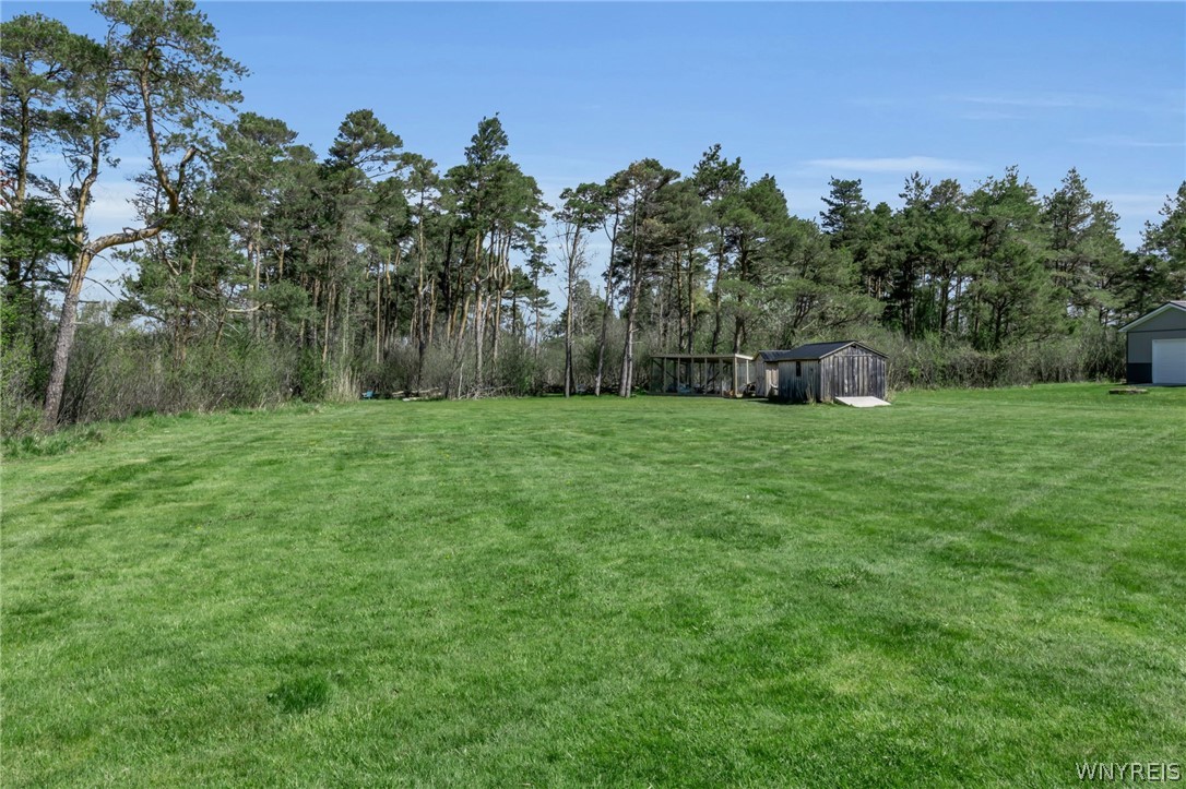 7318 Michael Road Orchard Park, NY 14127 - Photo 30 of 30