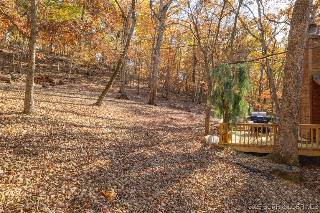 290 Comanche Road Lake Ozark, MO 65049 - Photo 31 of 60