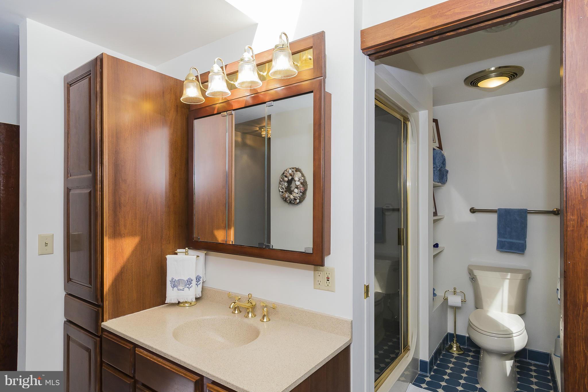 521 Rabbit Hill Road Riva, MD 21140 - Photo 19 of 30 Bath (Master)