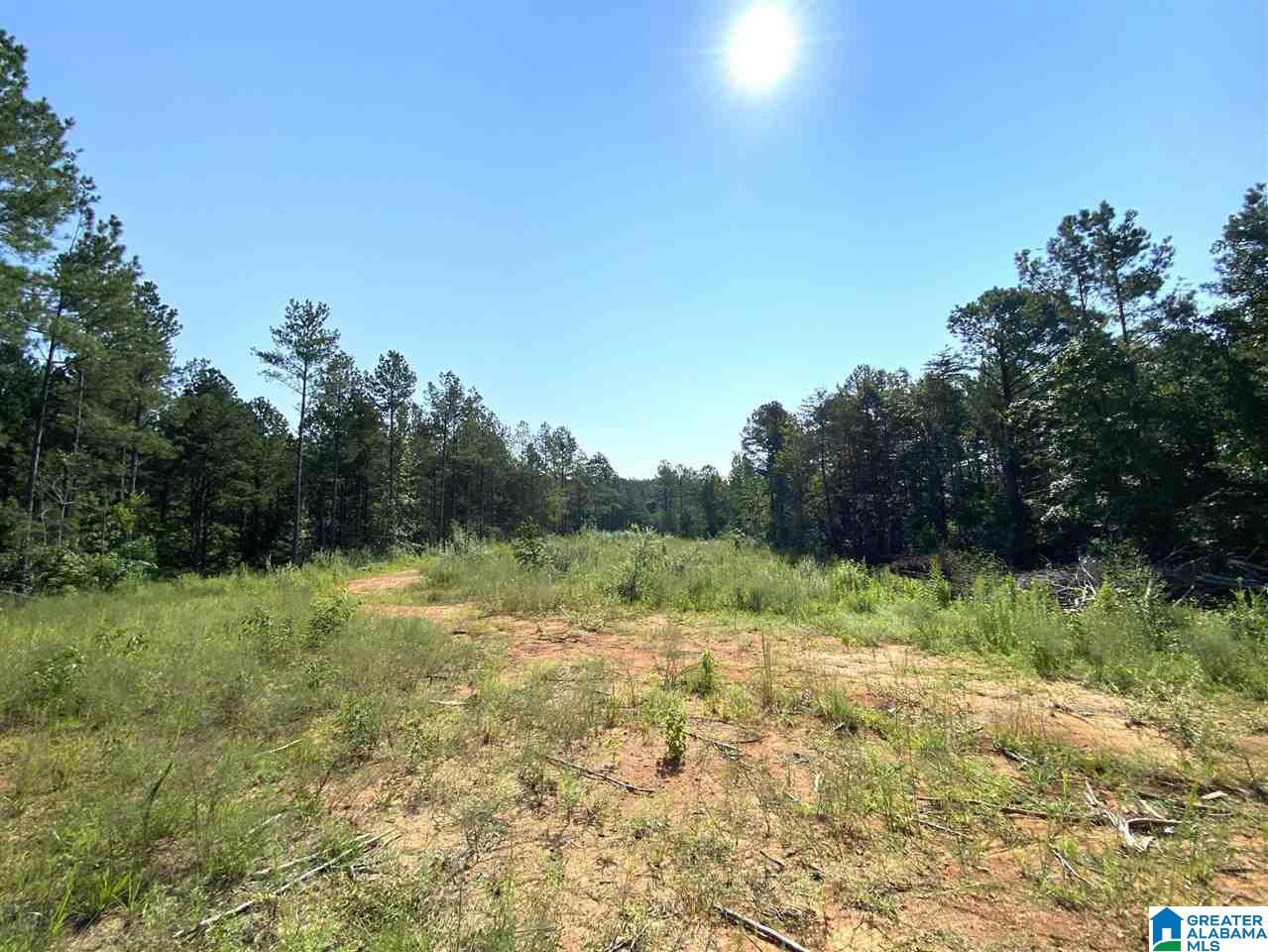 1 River Road, Unit 1 Quinton, AL 35130 - Photo 29 of 30