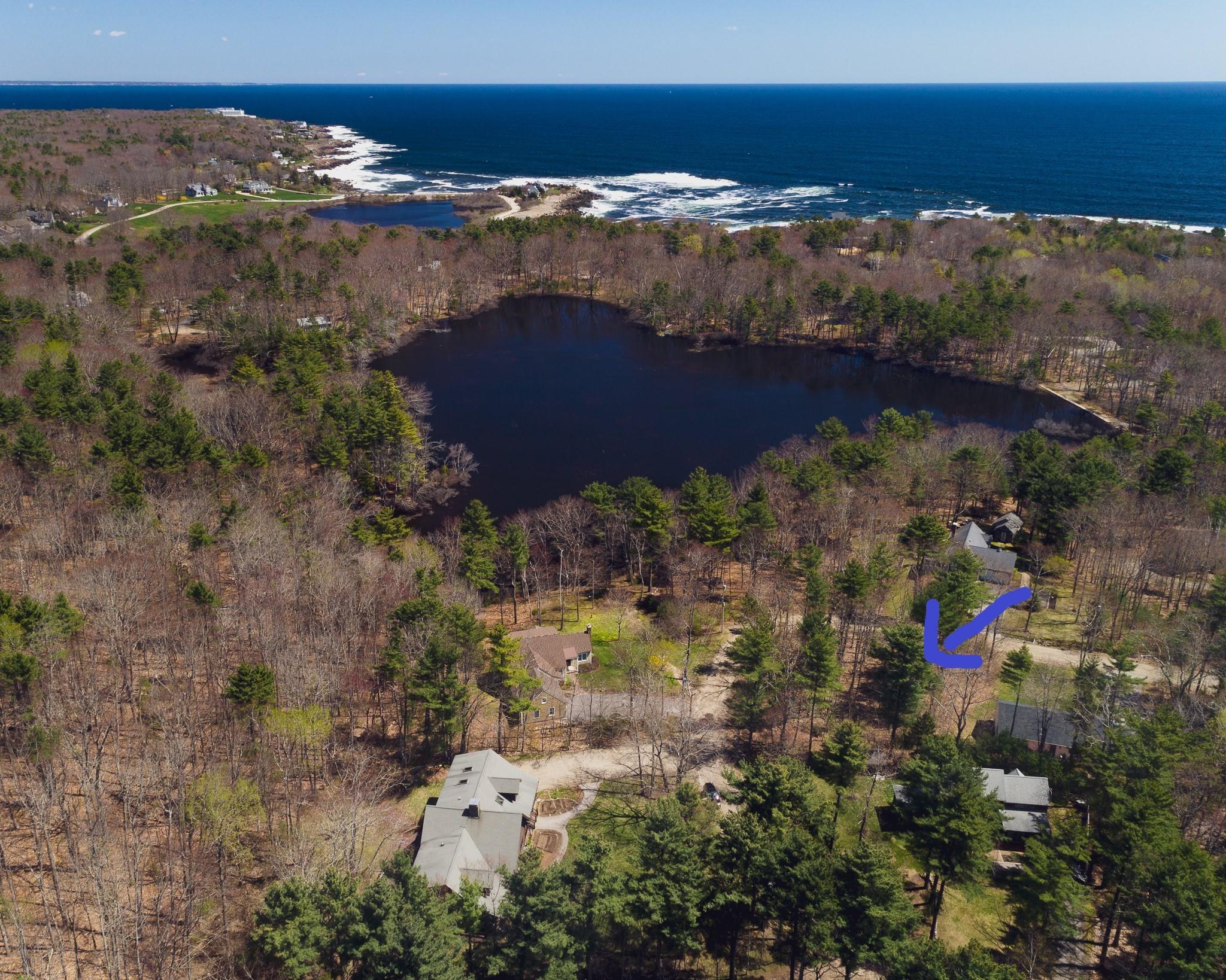 41 Pine Mountain Road York, ME 03902 - Photo 1 of 13 Aerial with pond and ocean background