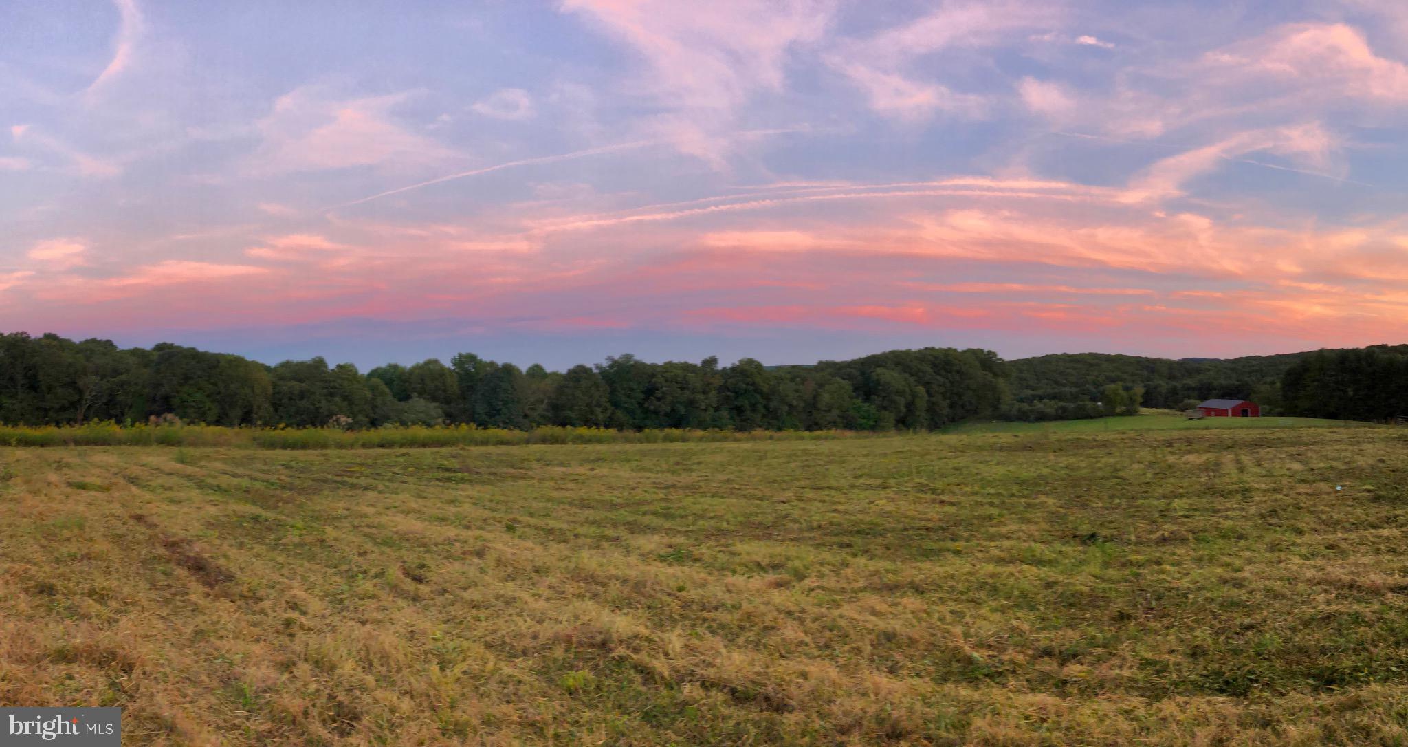 19675 Eagle Mill Road Parkton, MD 21120 - Photo 8 of 18