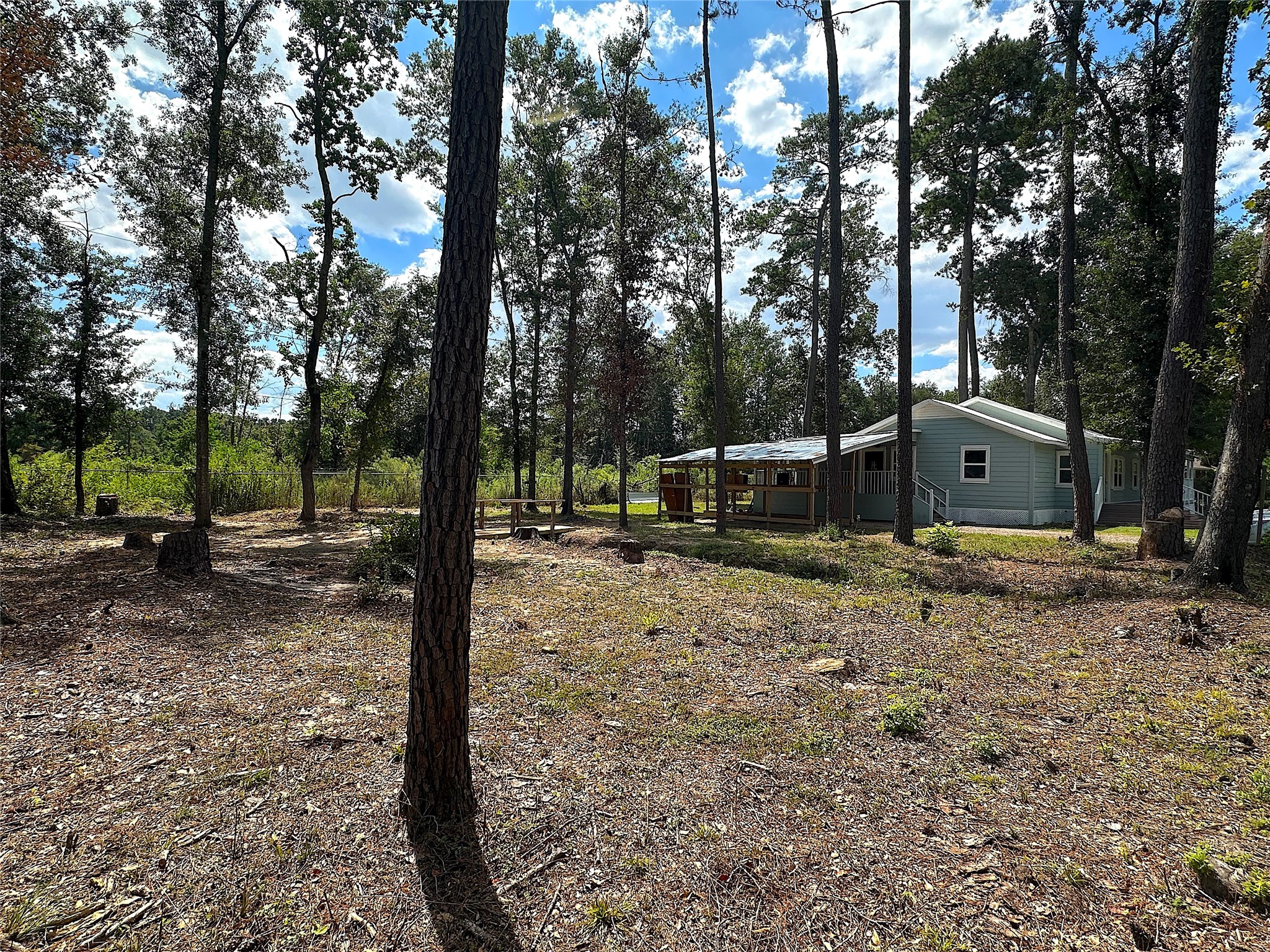 24254 Jane Avenue Porter, TX 77365 - Photo 25 of 26 a view of a tree in the forest