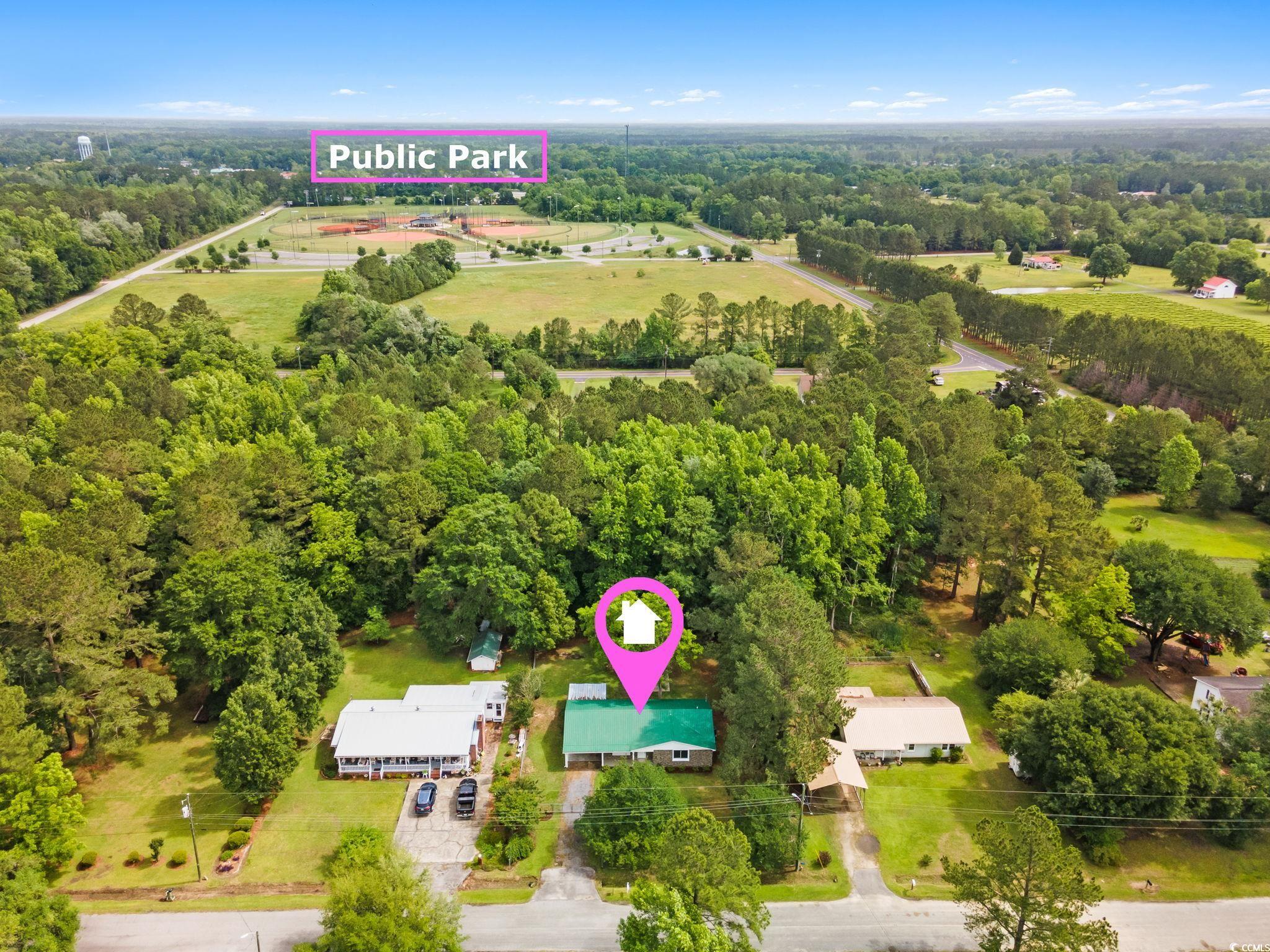 96 Middleton Road Andrews, SC 29510 - Photo 6 of 40 Bird's eye view of a forest