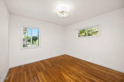 a view of a yard with plants and large trees