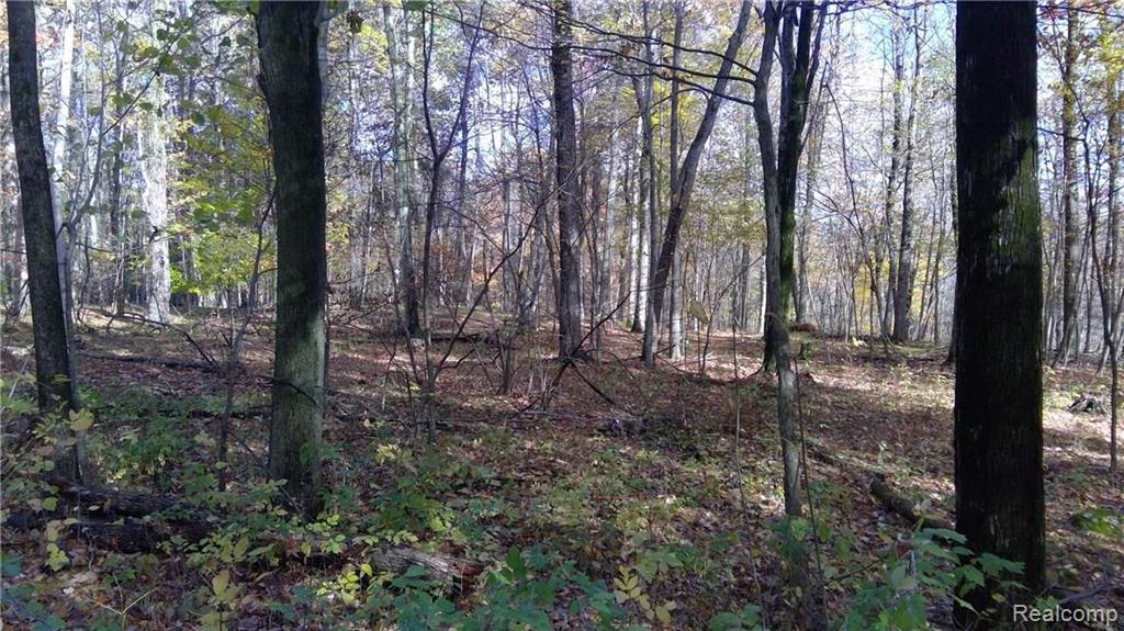 0 Hosner Road Oxford, MI 48370 - Photo 25 of 27