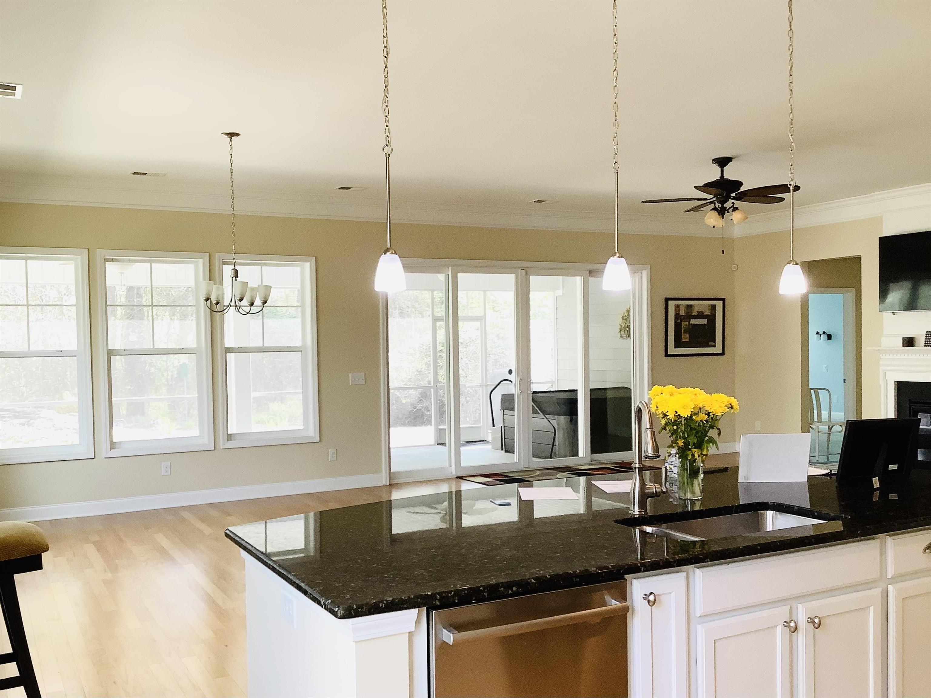 242 Hyacinth Loop Murrells Inlet, SC 29576 - Photo 10 of 44