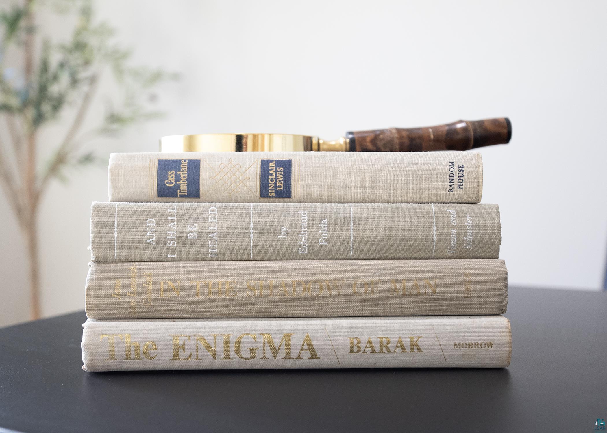 2 Michelle Lane Esko, MN 55733 - Photo 6 of 23