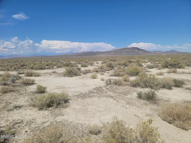a view of a dry yard