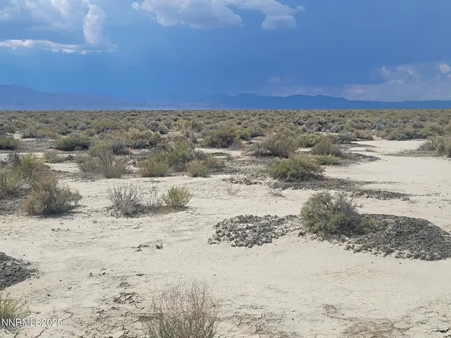 a view of beach and ocean