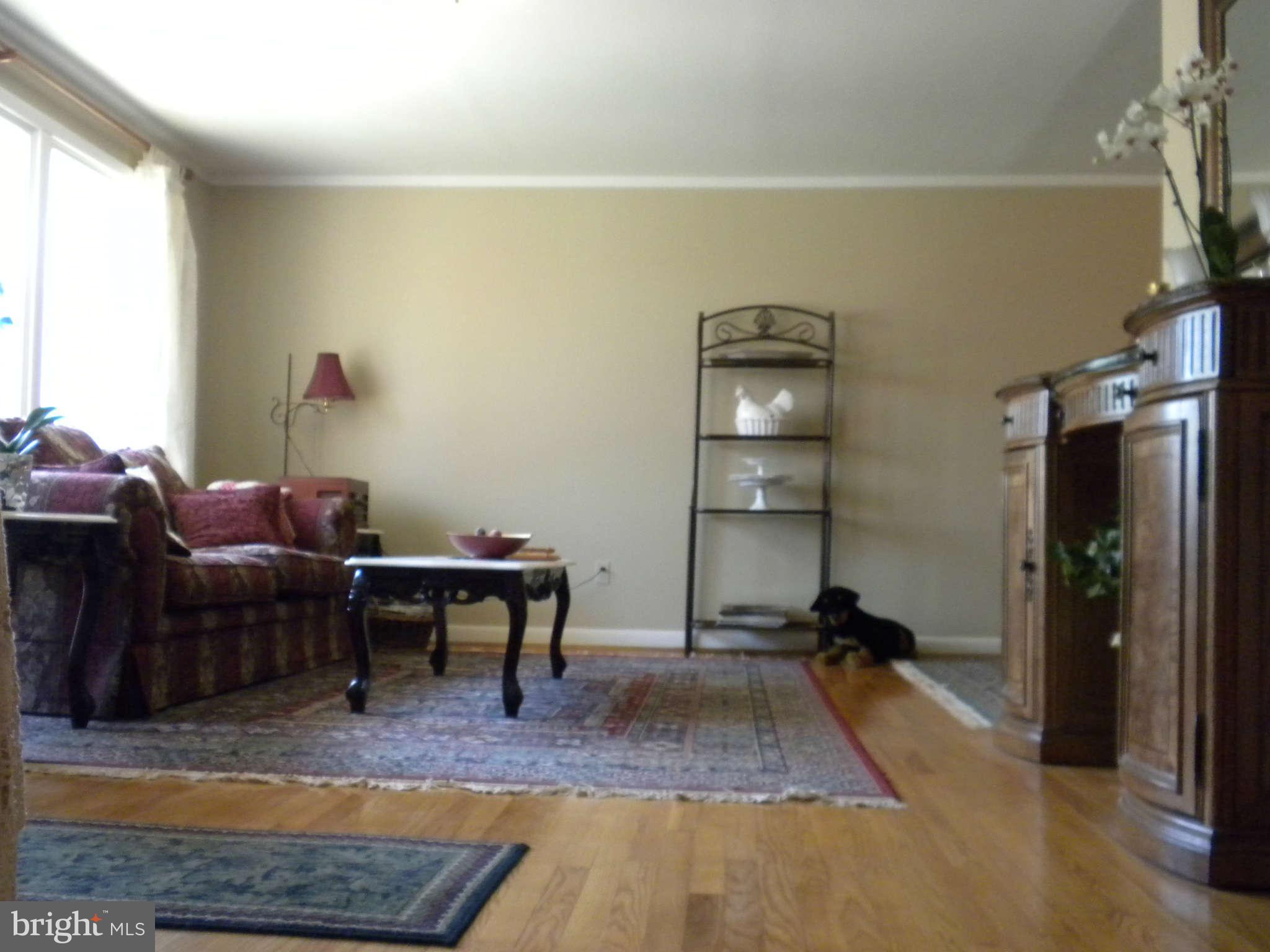 12920 Matey Road Silver Spring, MD 20906 - Photo 3 of 20 Living Room