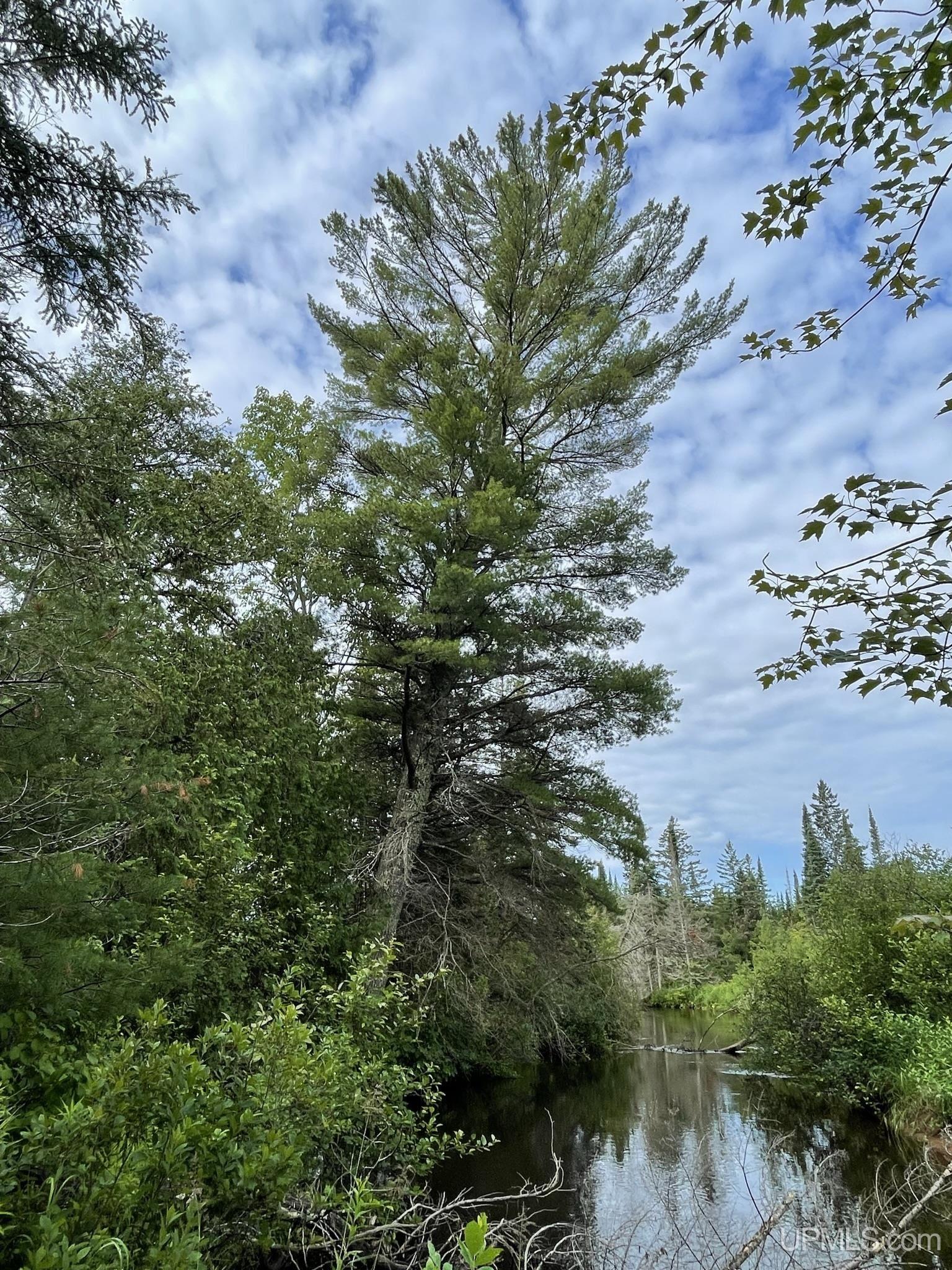 Tbd Tbd Hay Meadow Road Manistique, MI 49854 - Photo 50 of 51