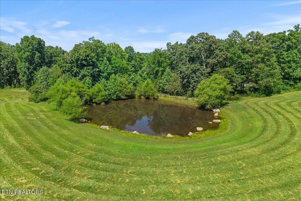 910 Reagan Valley Road Tellico Plains, TN 37385 - Photo 46 of 58 Gallery Image 46