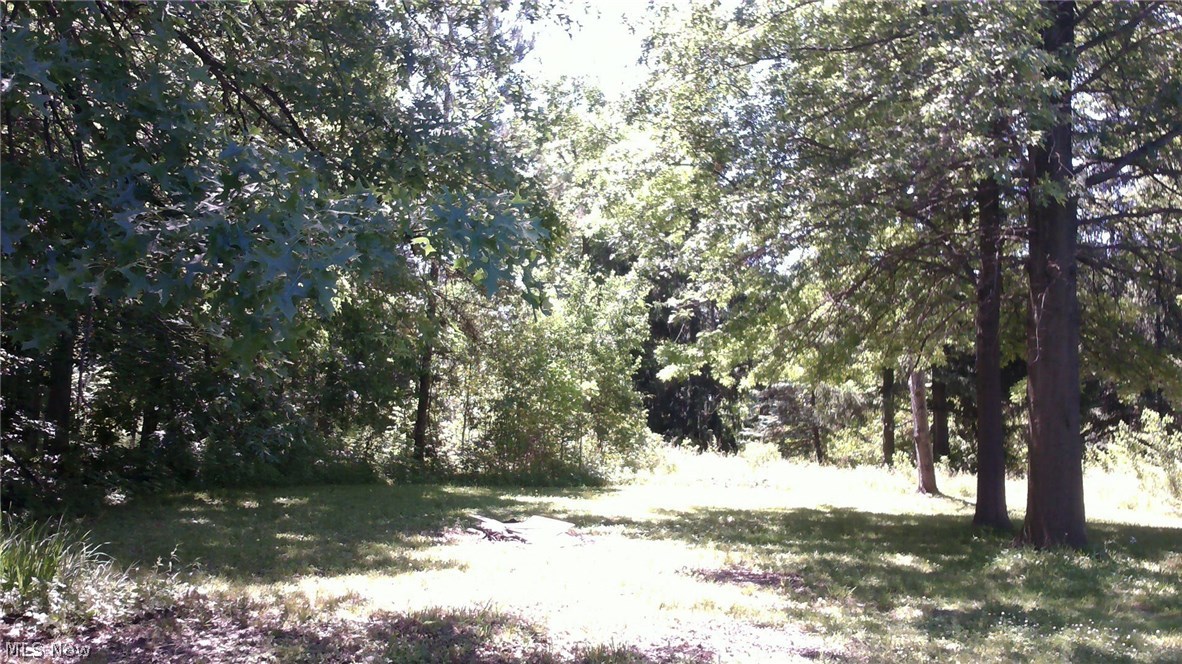 22761 Drake Road Bedford, OH 44146 - Photo 5 of 21 Views of the wooded yard Peace and Tranquility
