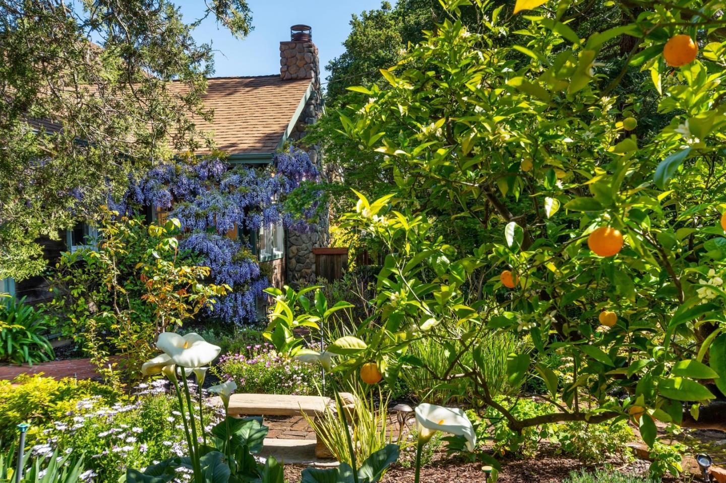 408 Warren Road San Mateo, CA 94402 - Photo 36 of 36 Gallery Image 36