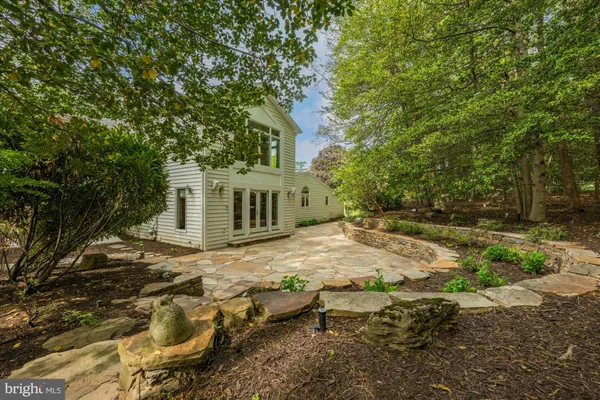 a view of a backyard with large trees