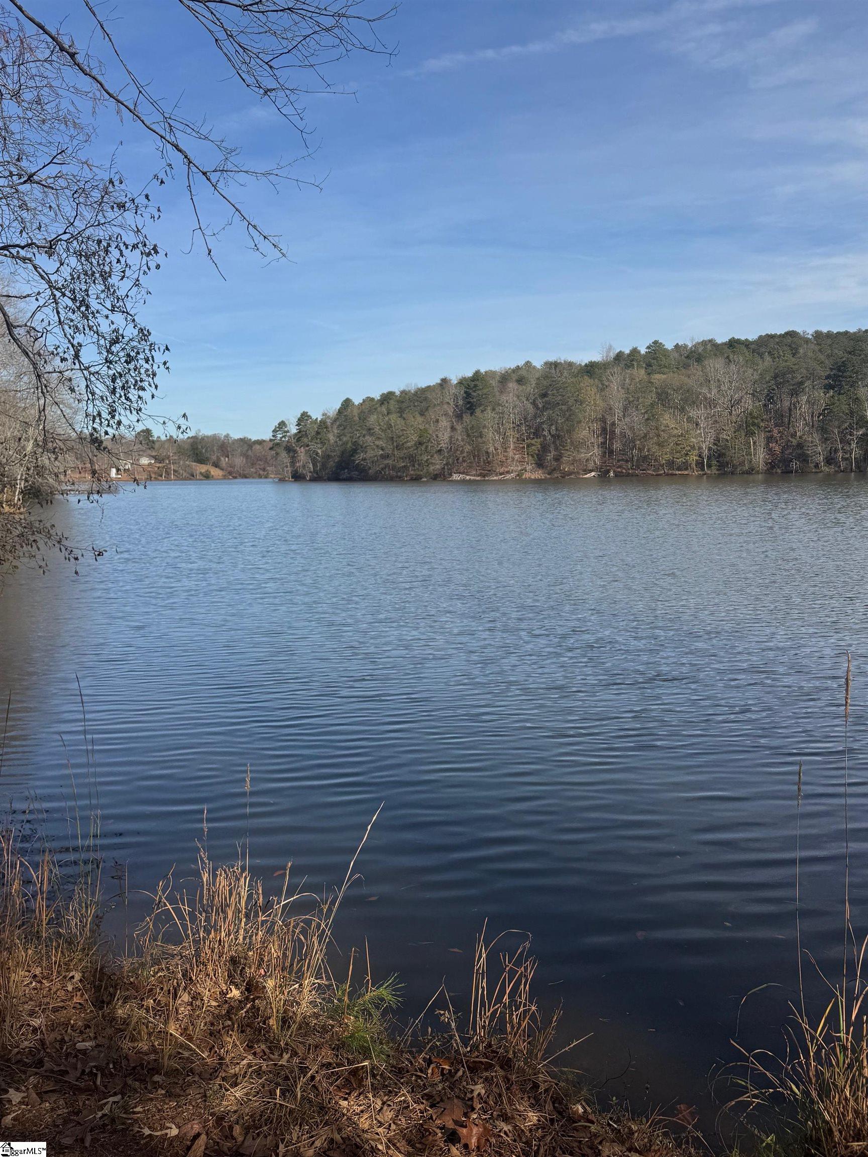 1281 River Oak Road Inman, SC 29349 - Photo 3 of 6