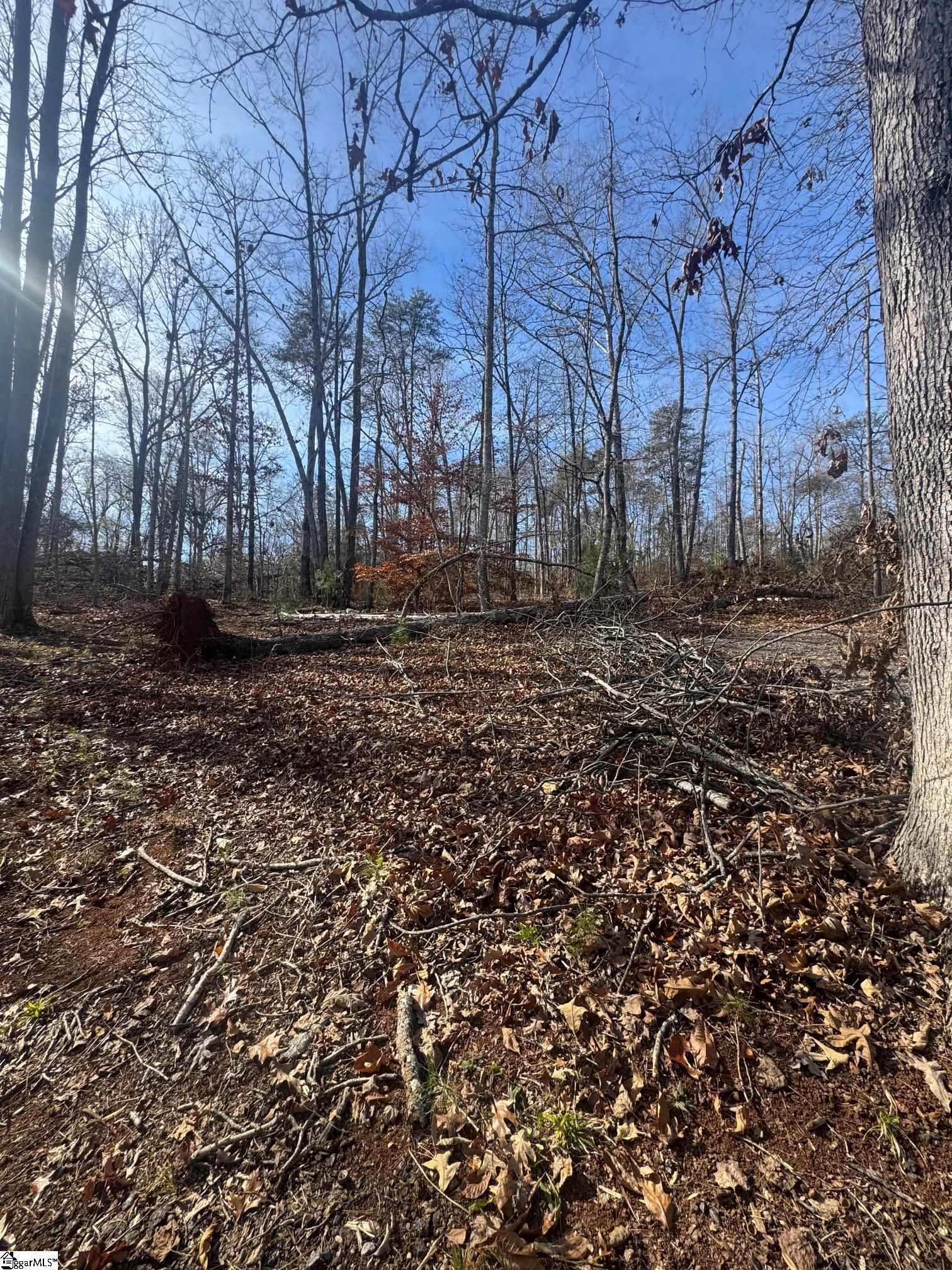 1281 River Oak Road Inman, SC 29349 - Photo 6 of 6