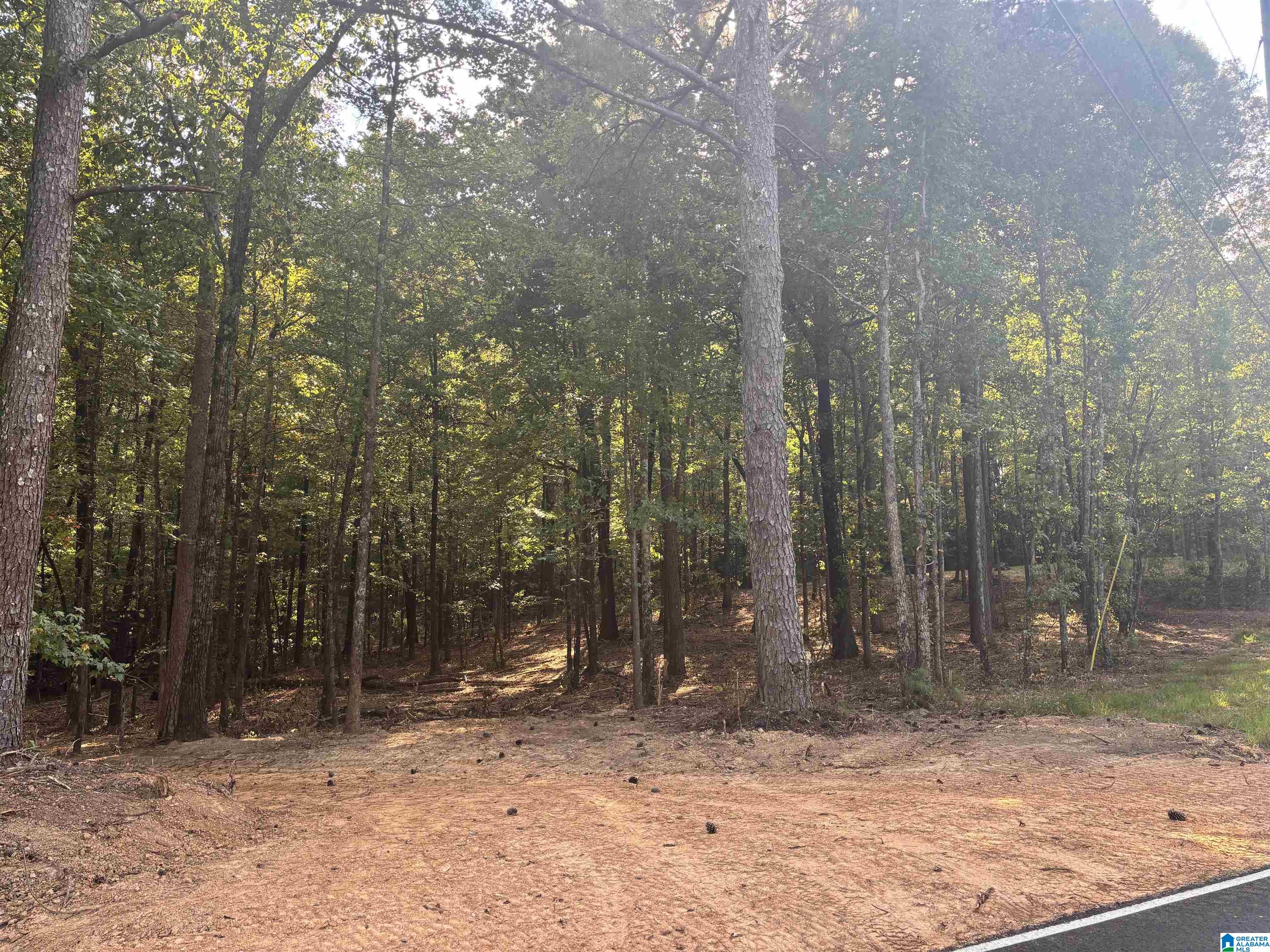Lot 2 Morton Road, Unit 2 Blountsville, AL 35031 - Photo 2 of 4