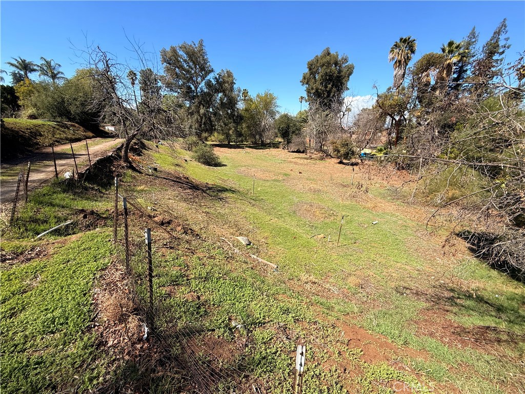 4785 Chicago Avenue Riverside, CA 92507 - Photo 2 of 14 a view of a yard with a tree