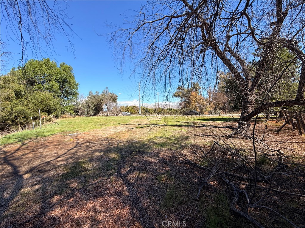 4785 Chicago Avenue Riverside, CA 92507 - Photo 7 of 14 a view of a yard with an tree