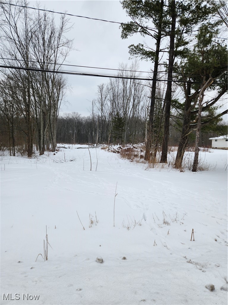 Royalton Road Columbia Station, OH 44028 - Photo 8 of 13 Yard covered in snow featuring a view of trees