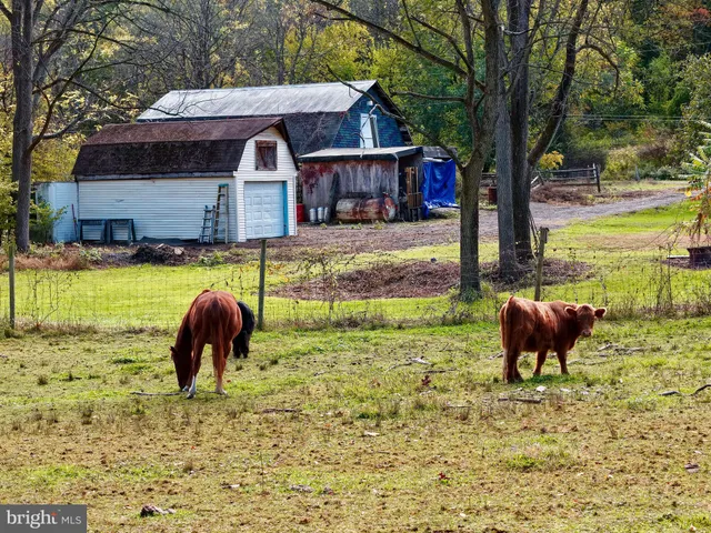 $699,399 | 3371 Mathews Lane, Alburtis, PA 18011