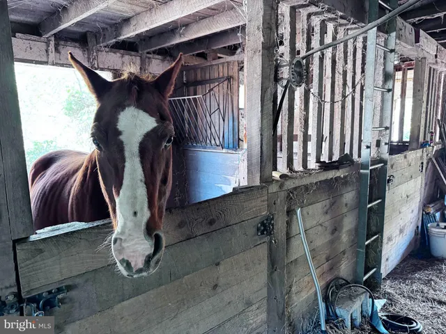 $699,399 | 3371 Mathews Lane, Alburtis, PA 18011