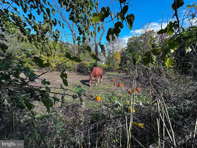 $699,399 | 3371 Mathews Lane, Alburtis, PA 18011