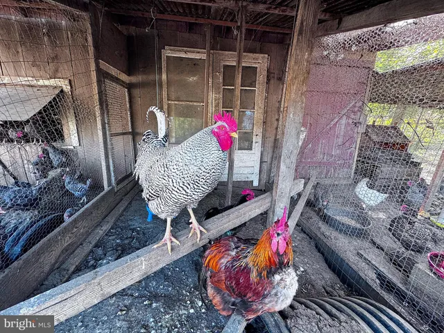 $699,399 | 3371 Mathews Lane, Alburtis, PA 18011