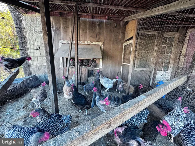 $699,399 | 3371 Mathews Lane, Alburtis, PA 18011