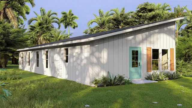 a view of a backyard with plants and large trees