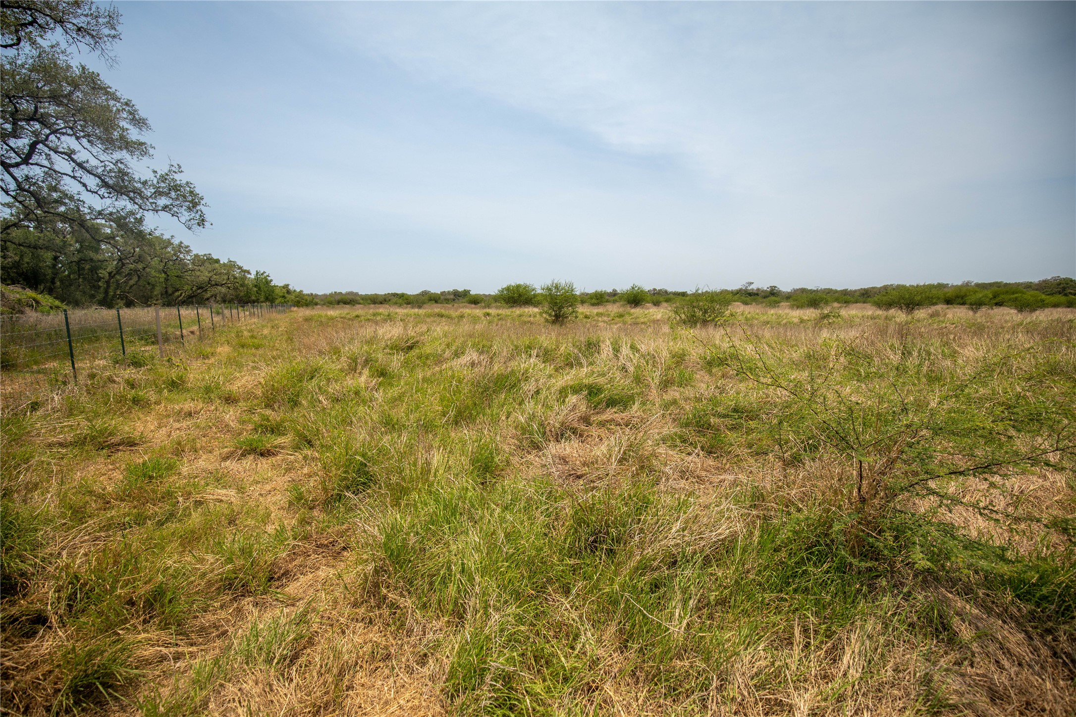 0 Green Dewitt Road Cuero, TX 77954 - Photo 14 of 40
