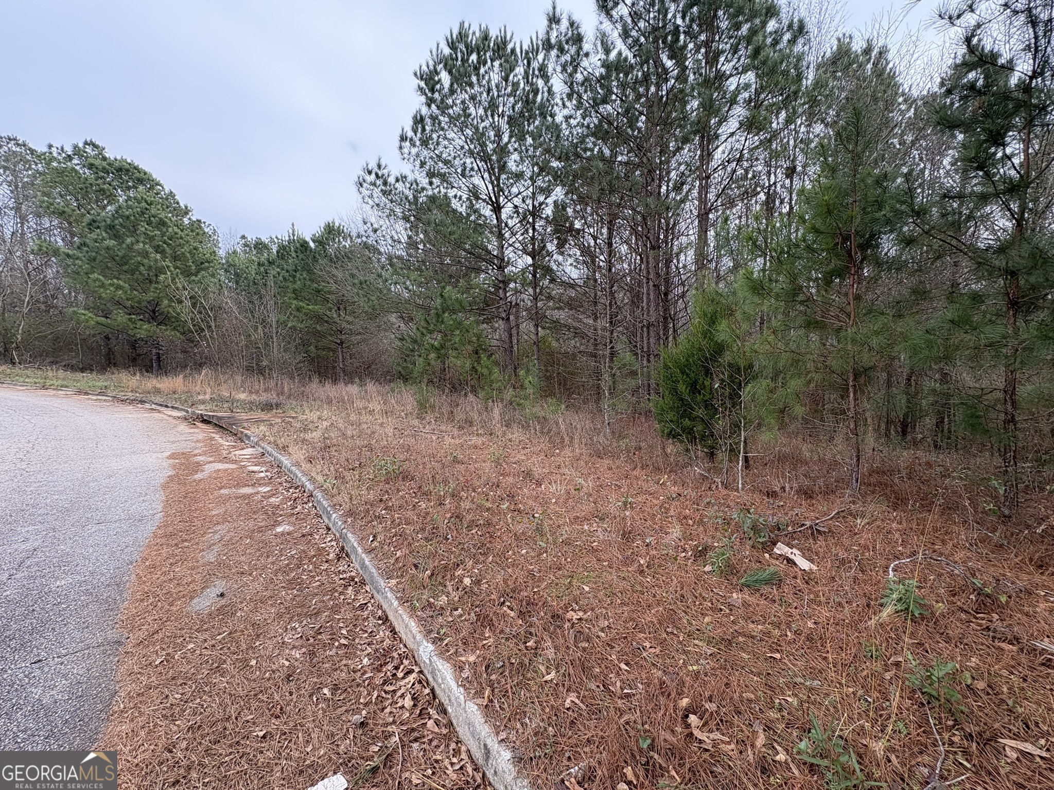 125 Cardell Farms Road, Unit 57 Locust Grove, GA 30248 - Photo 2 of 3 a view of a forest with trees in the background