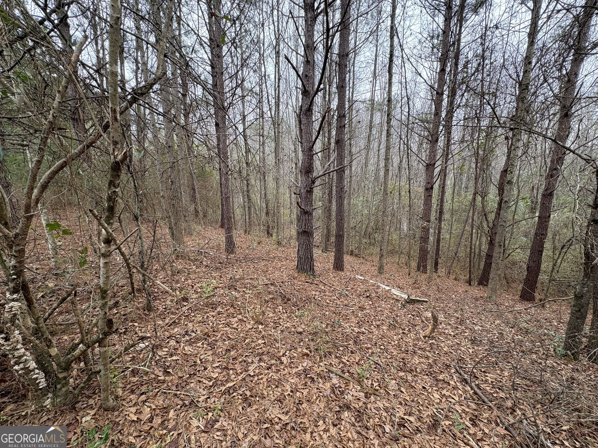 125 Cardell Farms Road, Unit 57 Locust Grove, GA 30248 - Photo 3 of 3 a backyard of a house with lots of green space