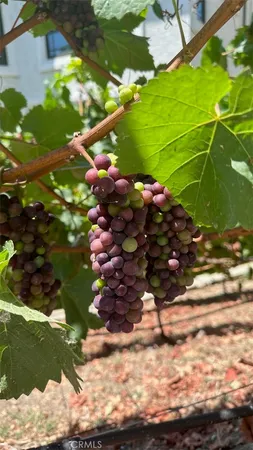 $7,900,000 | 3202 Portico Del Norte, San Clemente, CA 92673