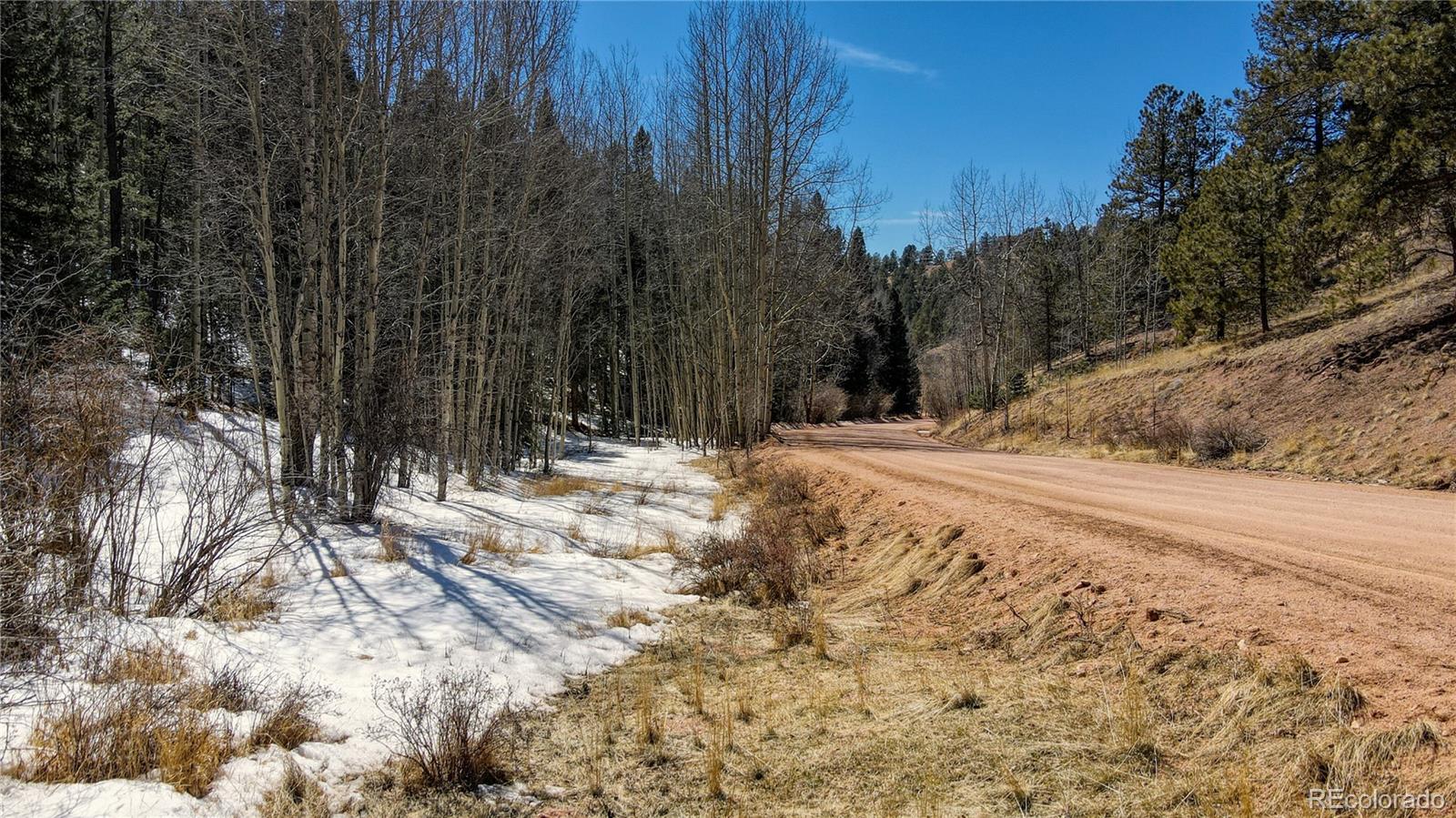 38 Princess Road Cripple Creek, CO 80813 - Photo 11 of 33 Gallery Image 11