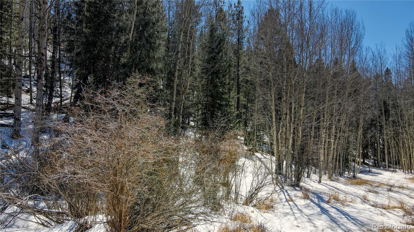 38 Princess Road Cripple Creek, CO 80813 - Photo 16 of 33 Gallery Image 16