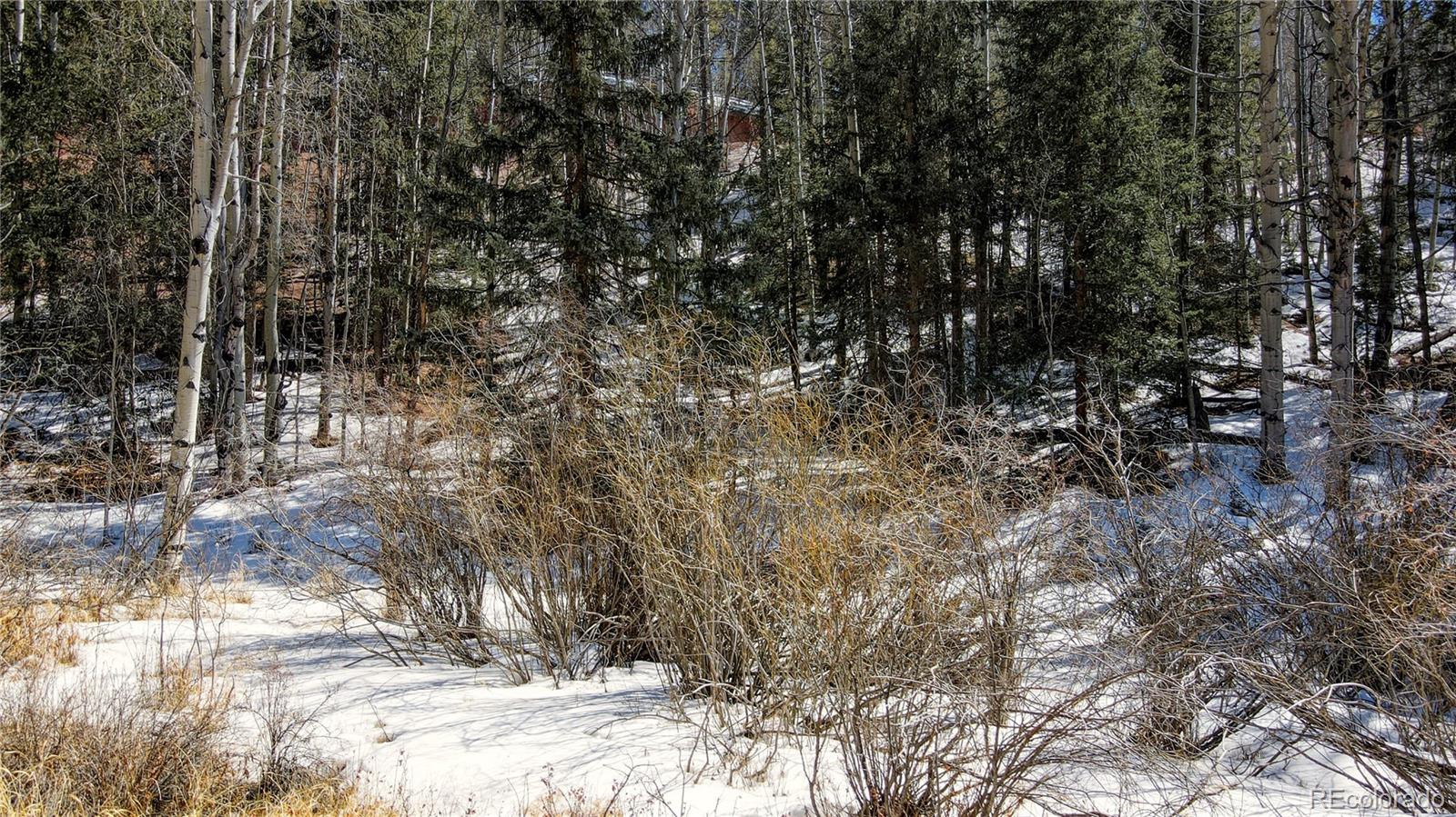 38 Princess Road Cripple Creek, CO 80813 - Photo 17 of 33 Gallery Image 17
