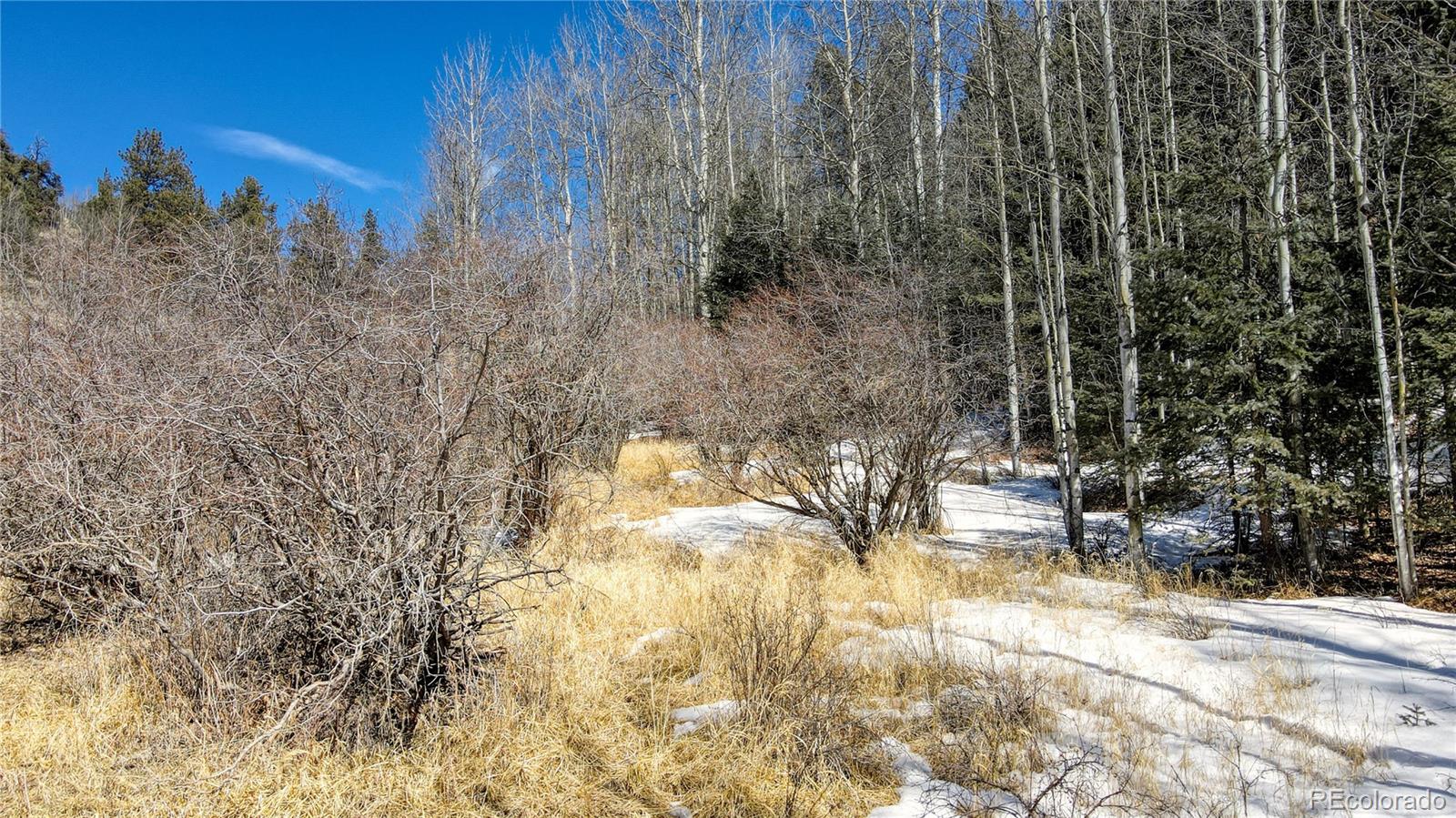 38 Princess Road Cripple Creek, CO 80813 - Photo 20 of 33 Gallery Image 20