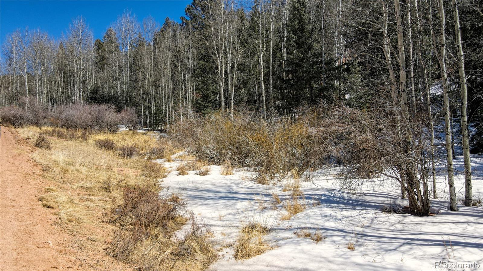 38 Princess Road Cripple Creek, CO 80813 - Photo 2 of 33 Gallery Image 2