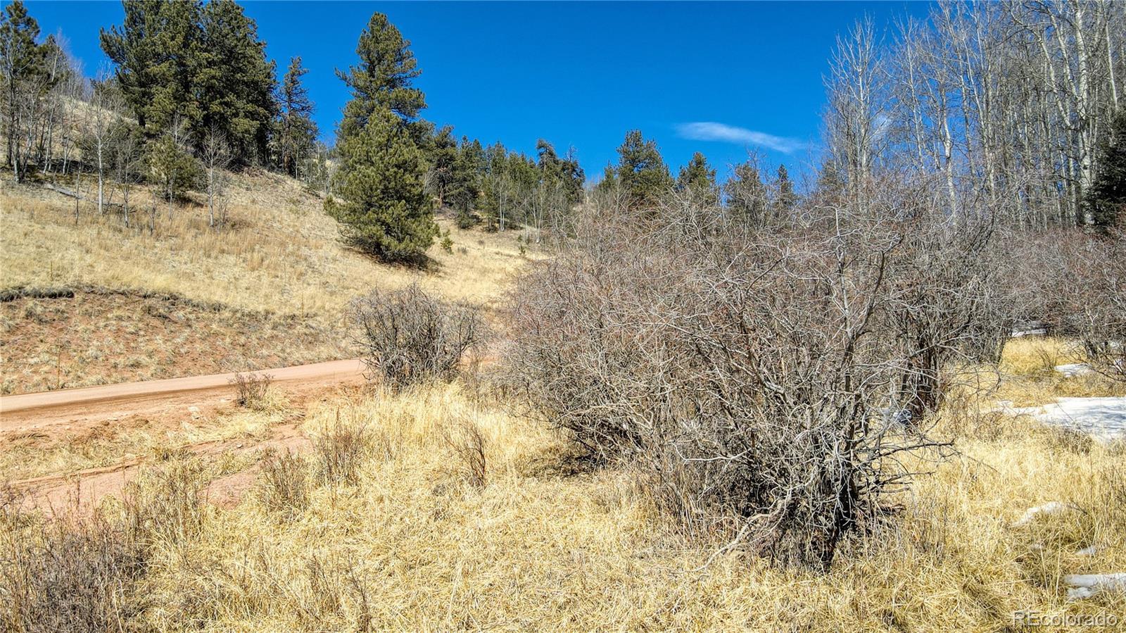 38 Princess Road Cripple Creek, CO 80813 - Photo 22 of 33 Gallery Image 22